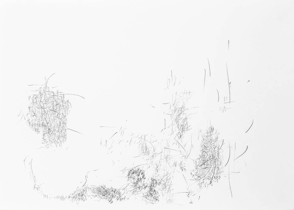 <i>Sin título</i>, lápiz y pastel óleo sobre papel, 21, 7 x 29, 5 cm, 2017